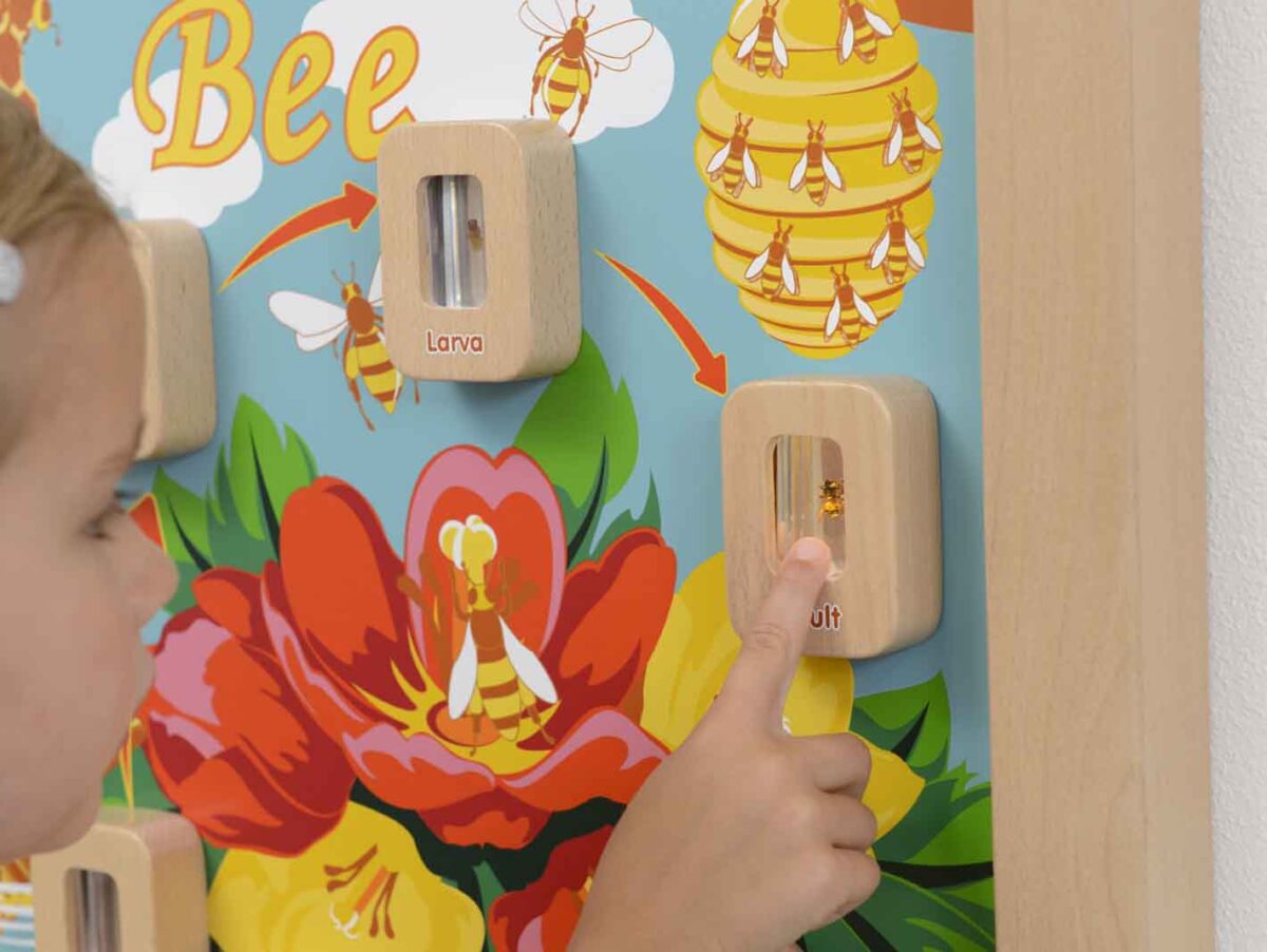 Bičių edukacinė lenta vaikams gyvenimo ciklas Masterkidz Montessori