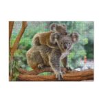 Dodo dėlionė Koalos (1000 det.)