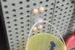 Permatomi lentos kabliukai 6 vnt