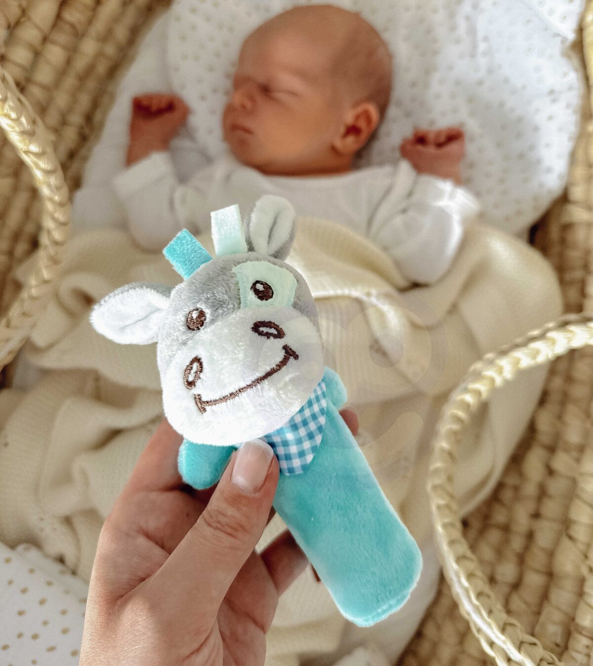 Pliušinis cipsintis žaislas WOOPIE BABY