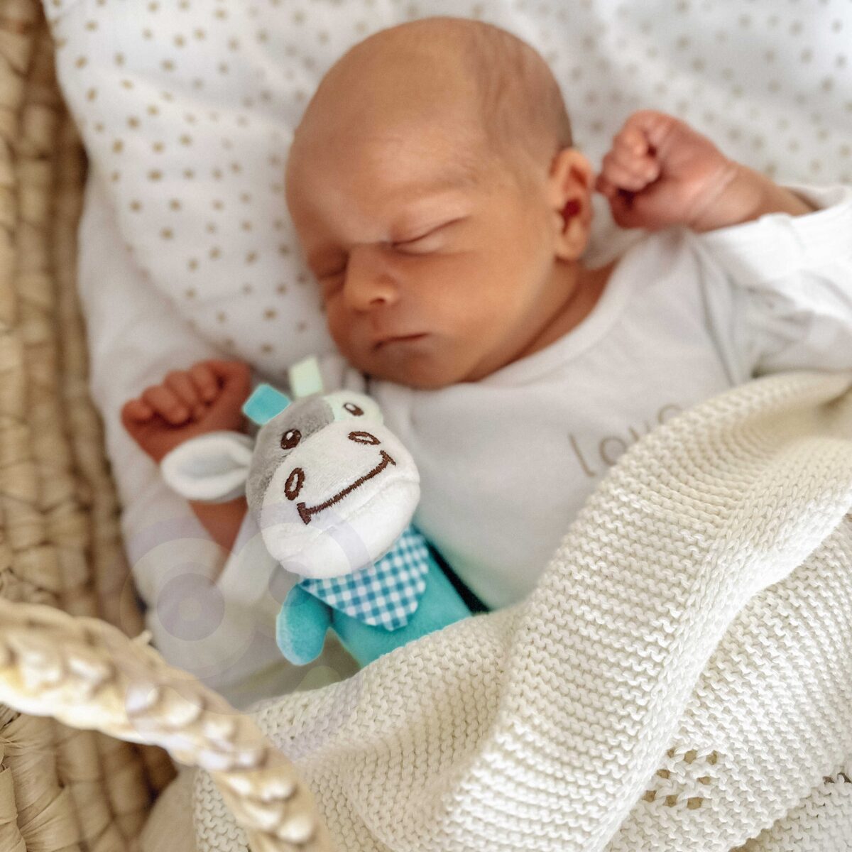 Pliušinis cipsintis žaislas WOOPIE BABY